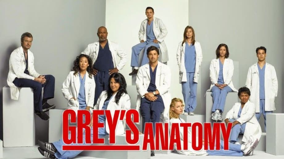 Watch Greys Anatomy - Season 4