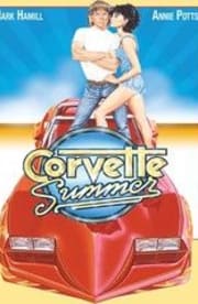 Corvette Summer