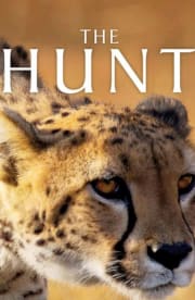 The Hunt - Season 1